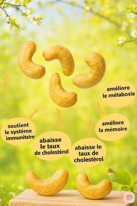 Noix de cajou